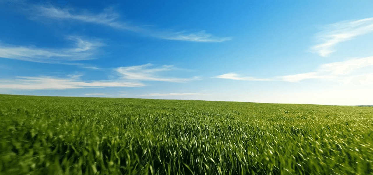 ทดสอบเฉยๆ